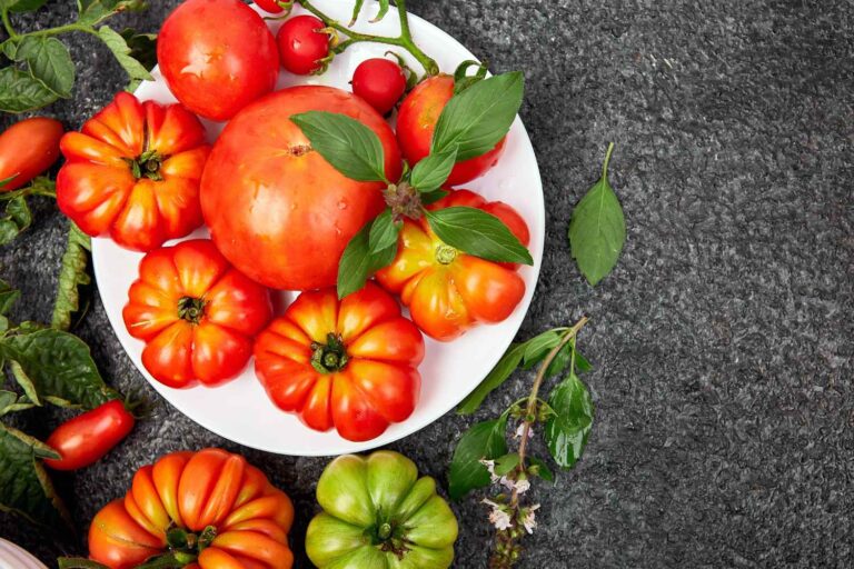 Van het hart van os tot de Datherino: de 10 variëteiten van Italiaanse tomaten en alle geheimen om altijd de juiste te kiezen
