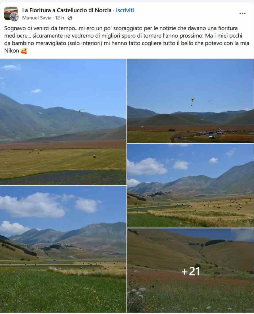 Bloeiende Castelluccio 4