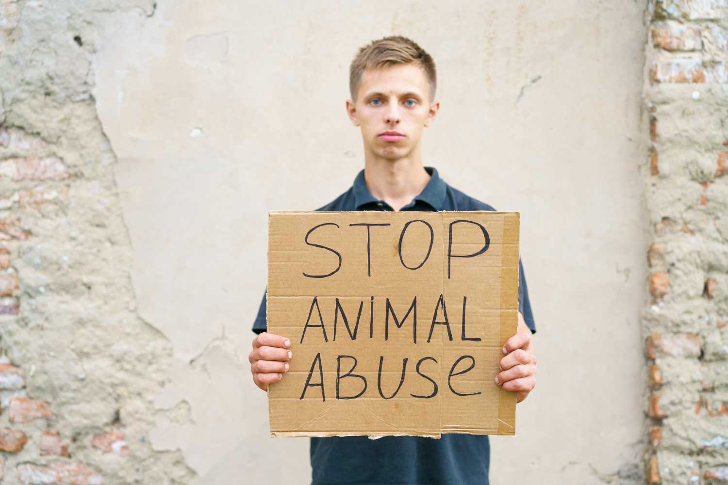 Dierenmishandeling