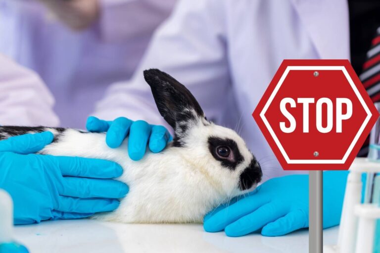 stop test cosmetici animali brasile