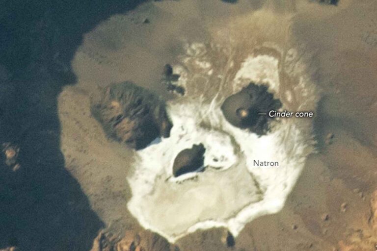 teschio NASA