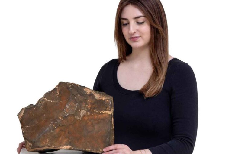 Meteorite Marte