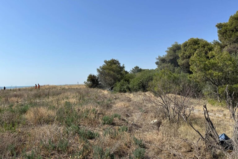 De oase van Lago Salso in Manfredonia Brucia, vernietigde 800 hectare grond, ecosystemen en ernstig beschadigde bedrijven
