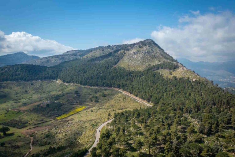 Bosco sette cieli