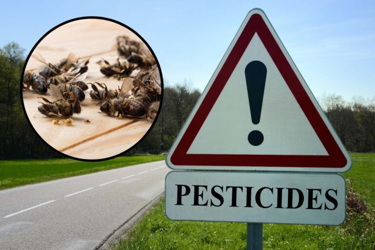pesticidi api morte