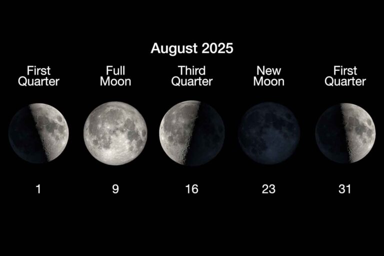 Cielo agosto 2025