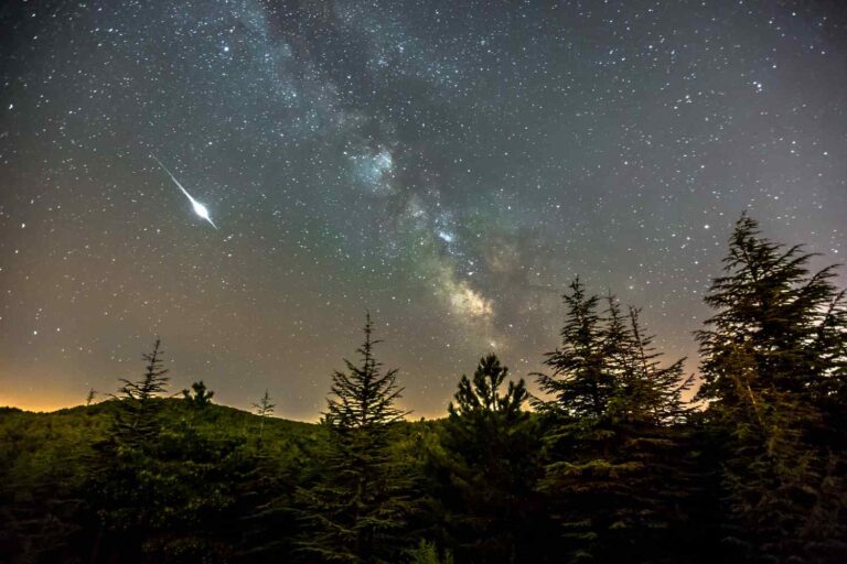 stelle cadenti