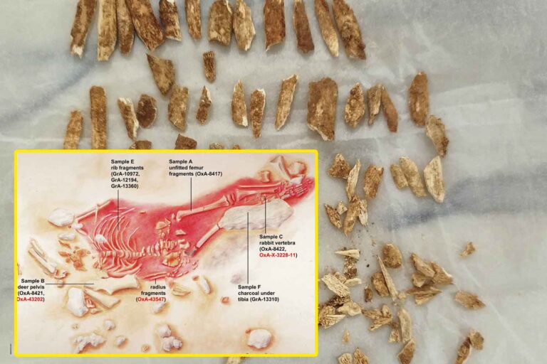 bambino che assomiglia sia agli umani che ai Neanderthal