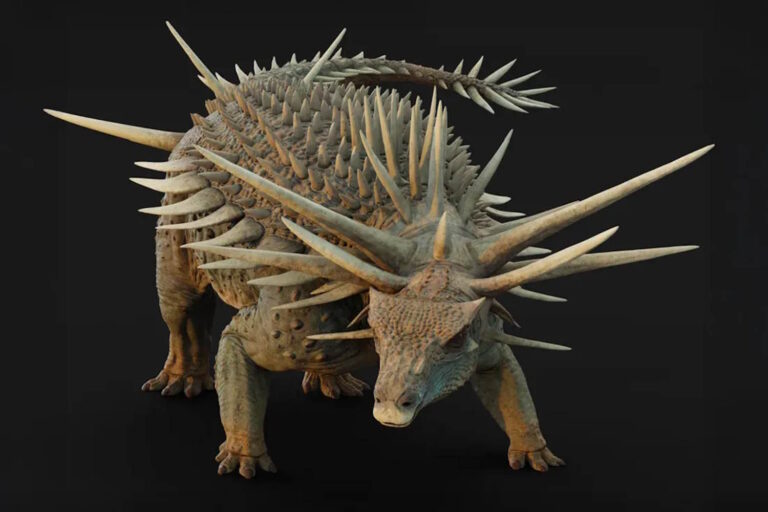 dinosauro punk