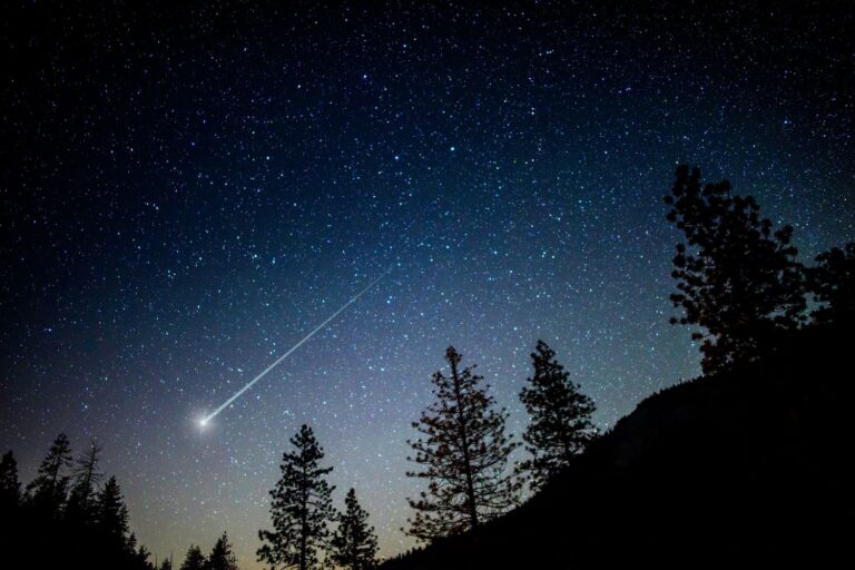 notte speciale venere presepe stelle cadenti