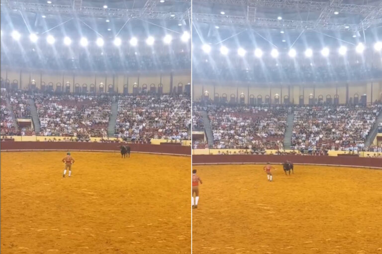 Torero morto