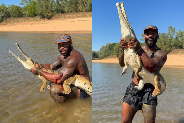 Influencer coccodrillo
