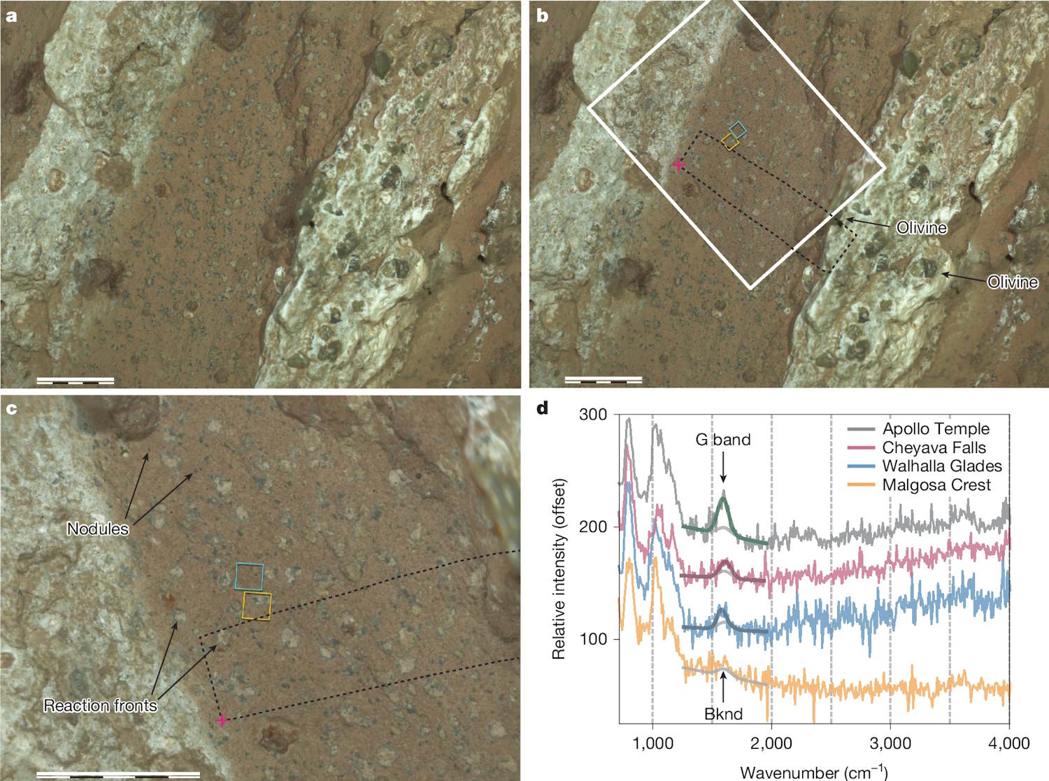 Het leven op Mars ontdekte NASA