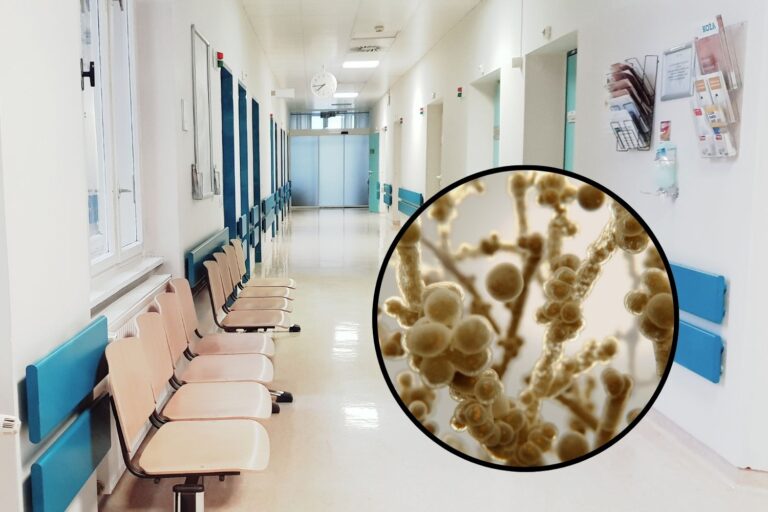 fungo killer ospedali