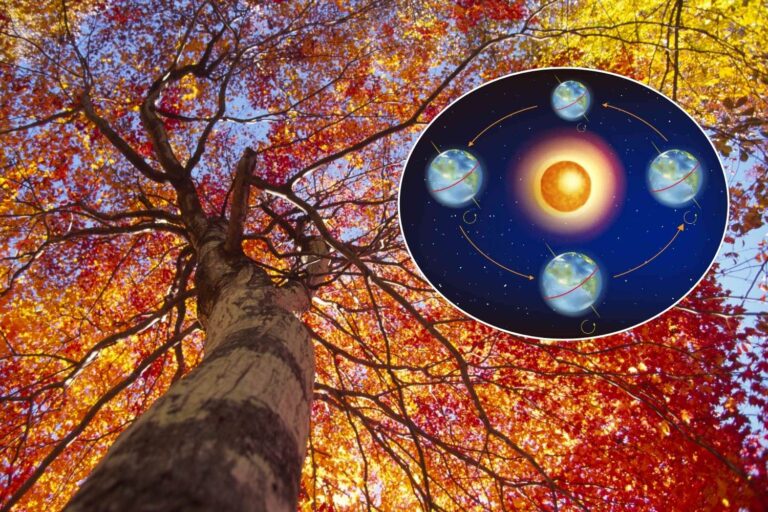 equinozio autunno