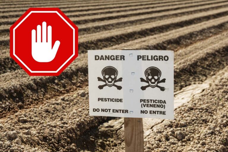 pesticidi