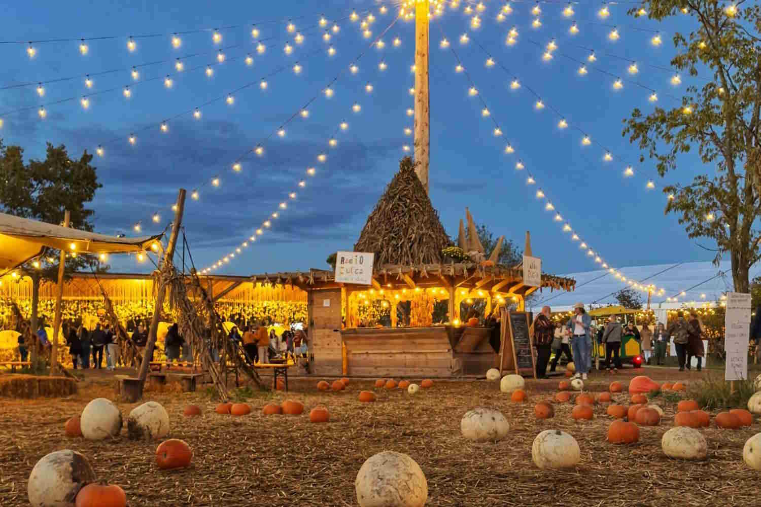 Het dorp van de Zuno Andrea Pumpkins