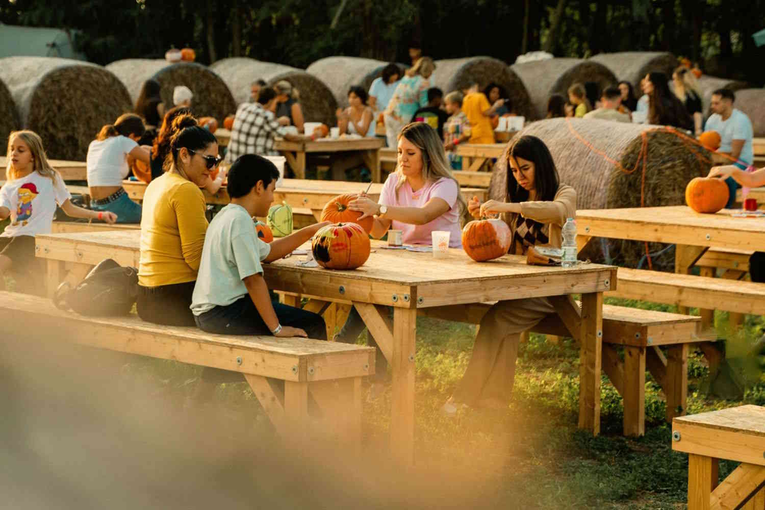 Federica's Pumpkin Field