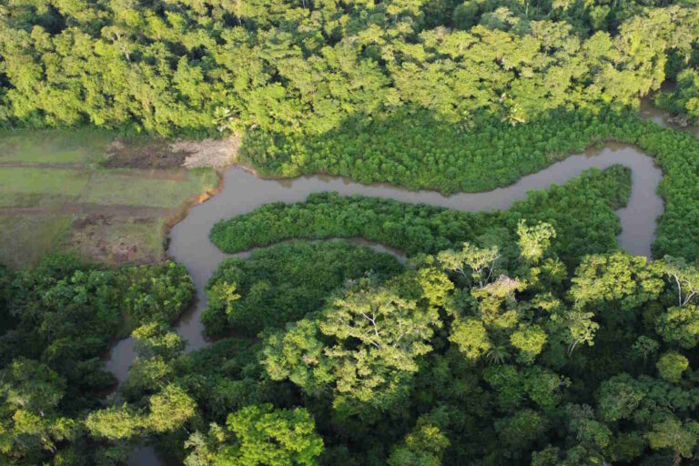 amazzonia petrolio