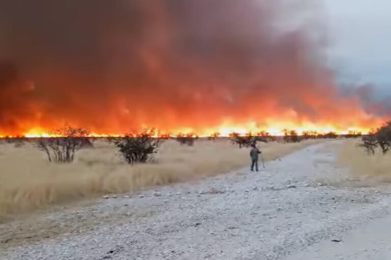 incendio namibia