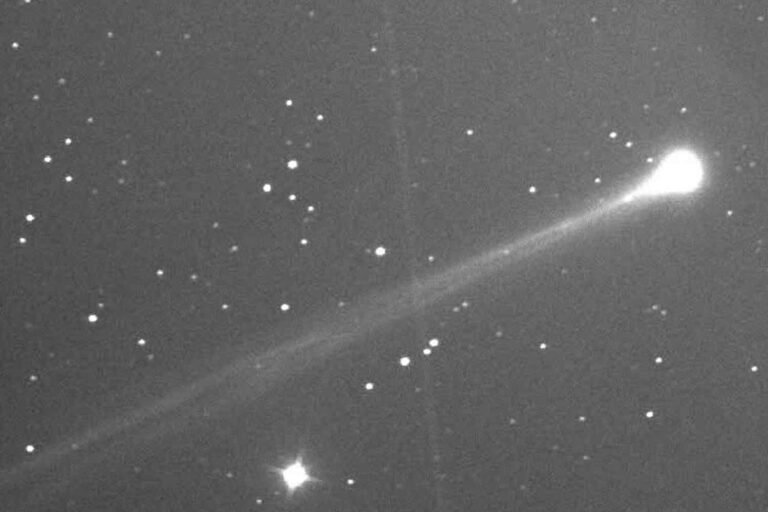 cometa SWAN25B