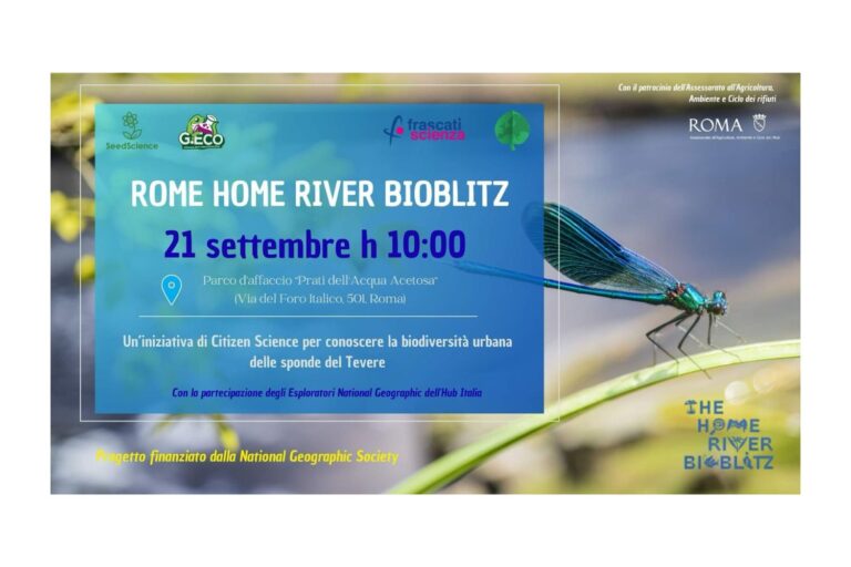 Wetenschap en aard binnen de app: de bioBlitz die burgers transformeert in onderzoekers
