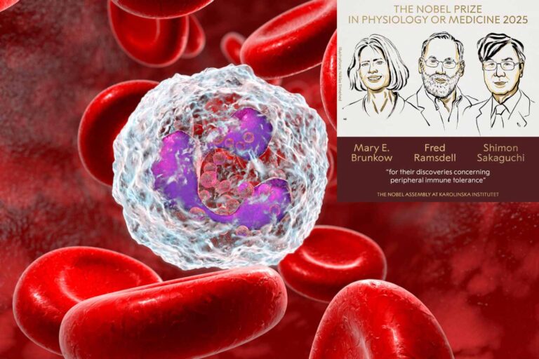 Nobel_Medicina_2025