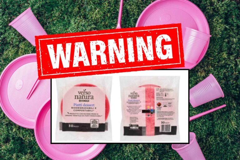 allerta piatti conad