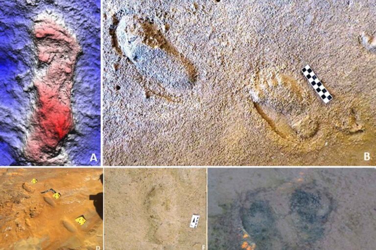 impronte Neanderthal