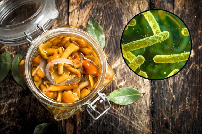 botulino funghi sottolio