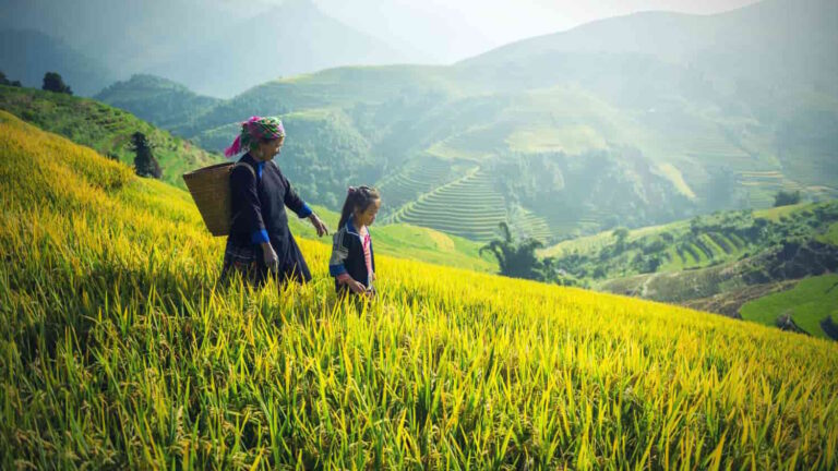 donne agricoltura premio Women in AG