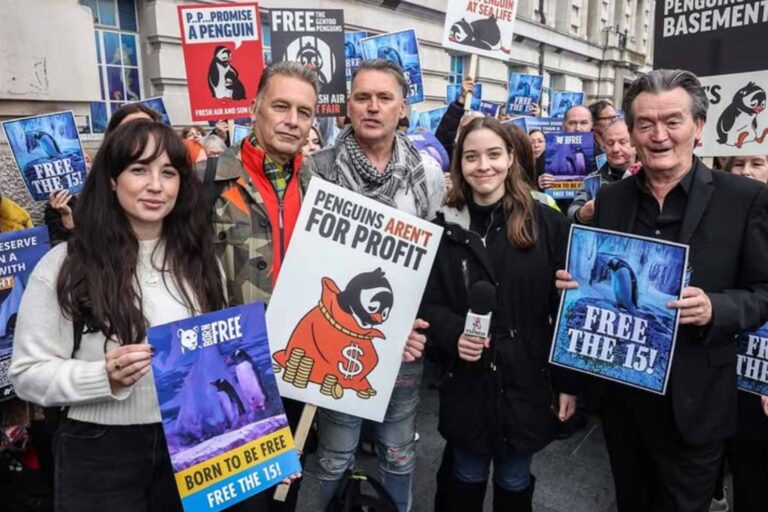 Pinguini acquario Londra