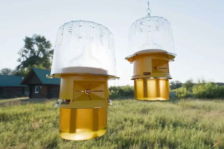 GOOD4BEES