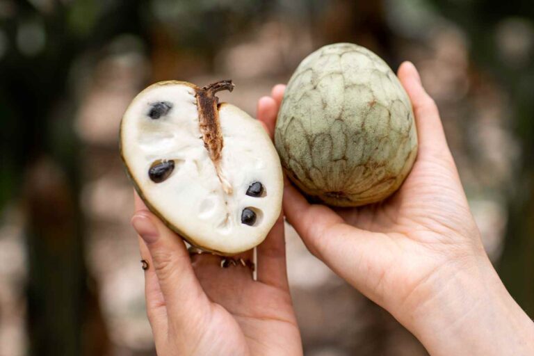 annona