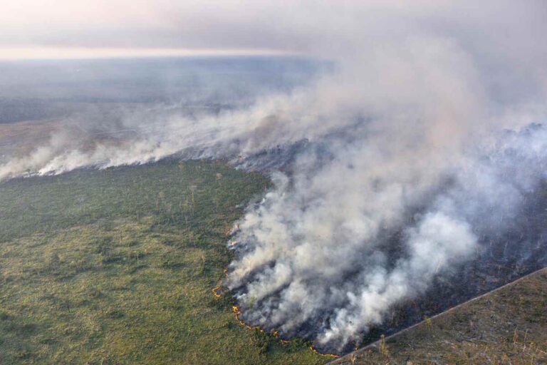 amazzonia incendi
