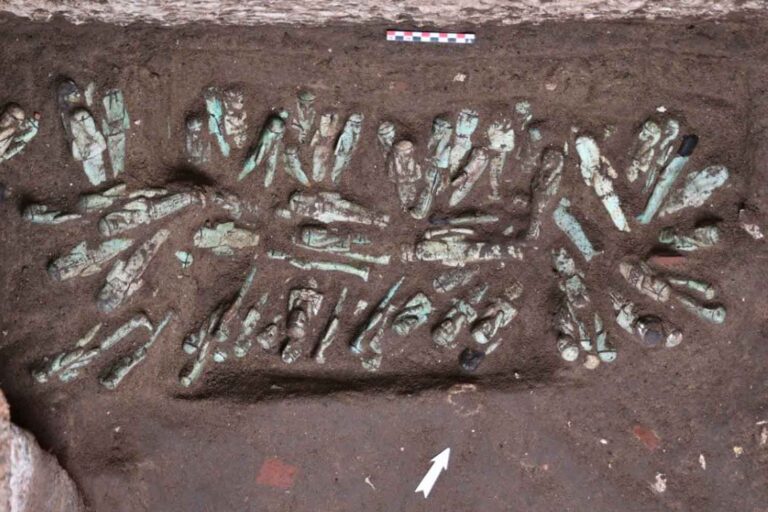 225 statuette scoperte a Tanis