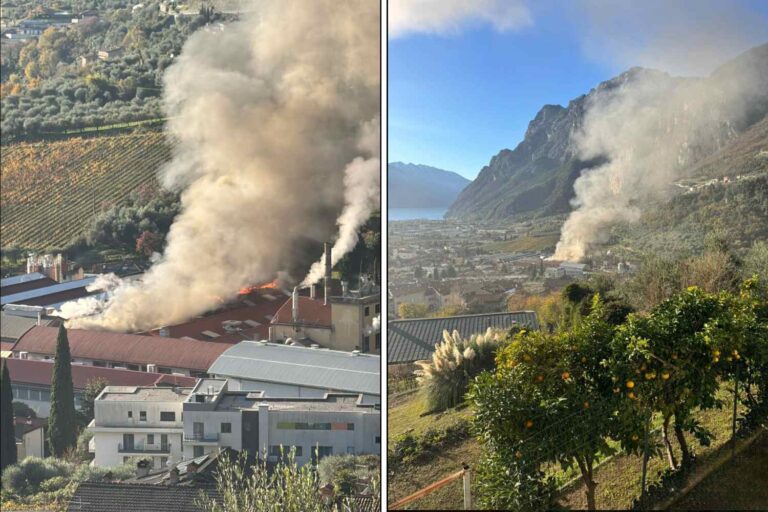 incendio fedrigoni