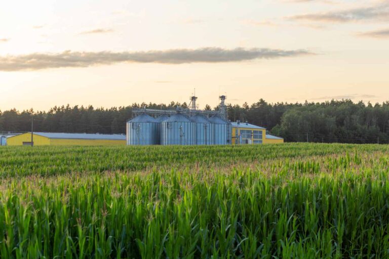 De Europese Commissie presenteert de nieuwe strategie voor de bio-economie: 2.700 miljard euro en 17 miljoen banen
