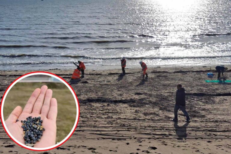 Die ‘zwarte tranen’ die de stranden vergiftigen: 650 miljoen plastic microsferen zijn East Sussex binnengevallen
