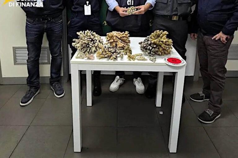 coralli sequestro
