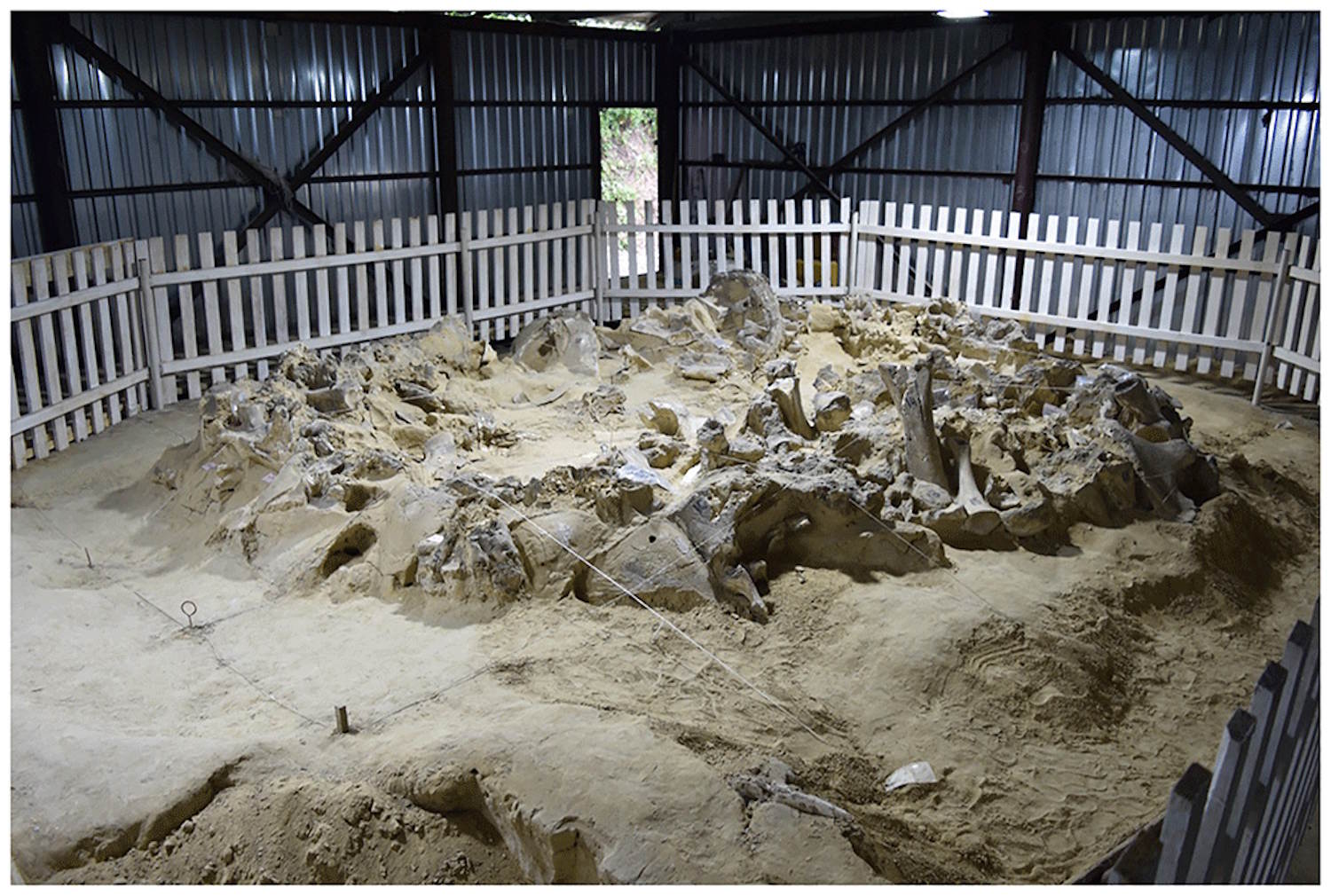 Overlevingsschuilplaatsen uit de ijstijd