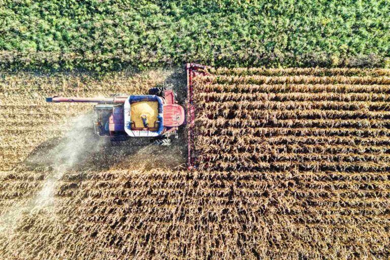CAP 2.0 geeft de EU groen licht voor vereenvoudiging: meer geld voor kleine boeren en milieunormen in gevaar
