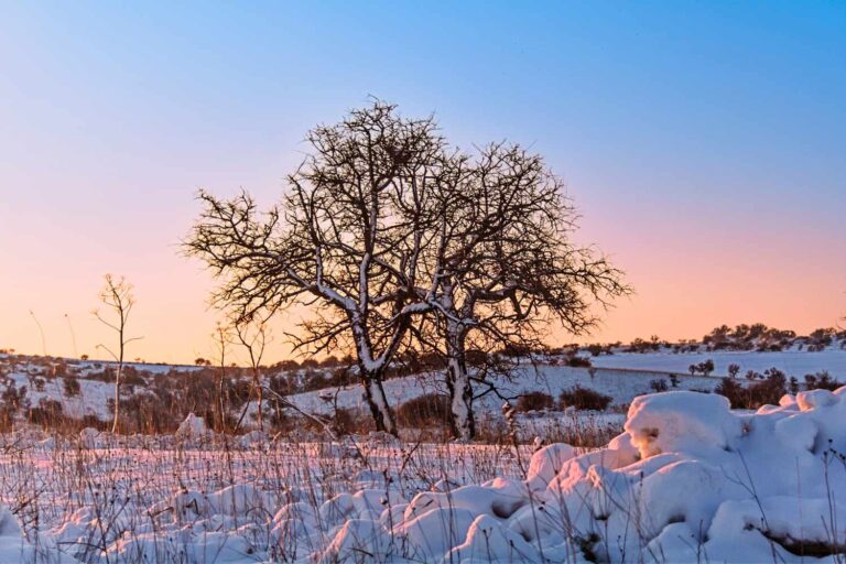 neve puglia
