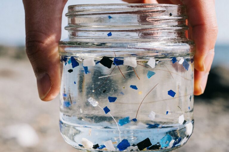 microplastiche