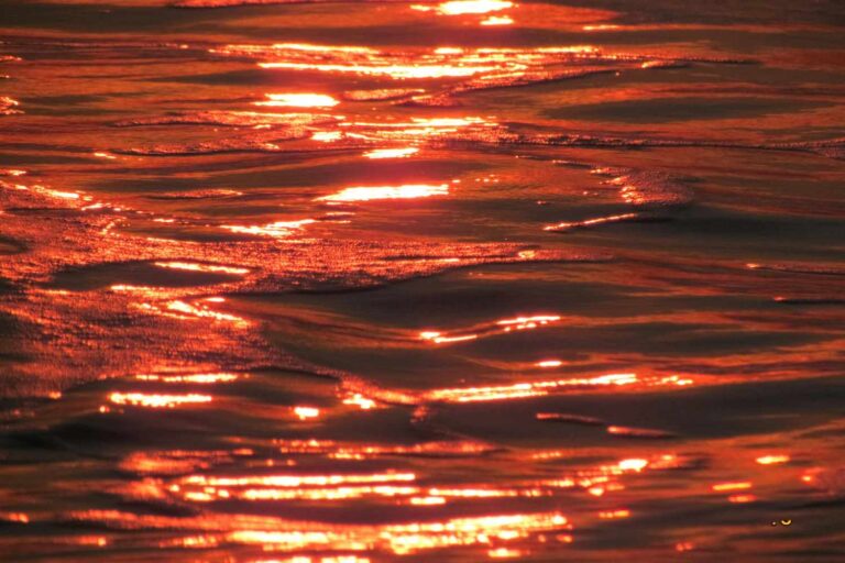 De oceanen koken: recordhittegolven stellen ons dus bloot aan klimaatrampen

