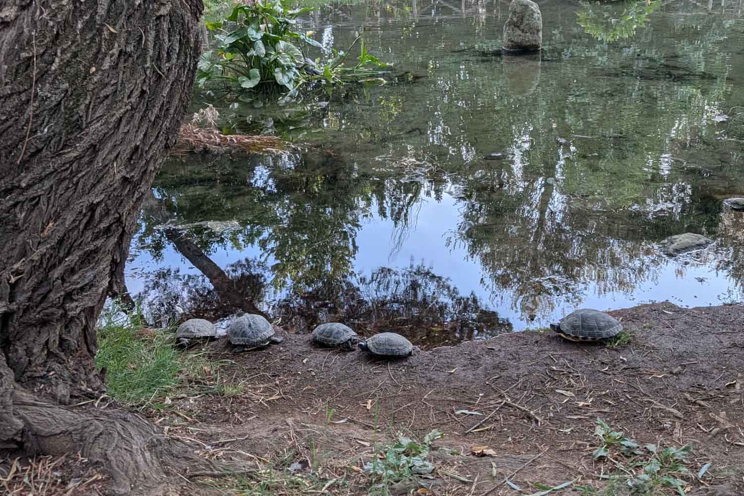 Rome, Parco degli Acquedotti-vijver