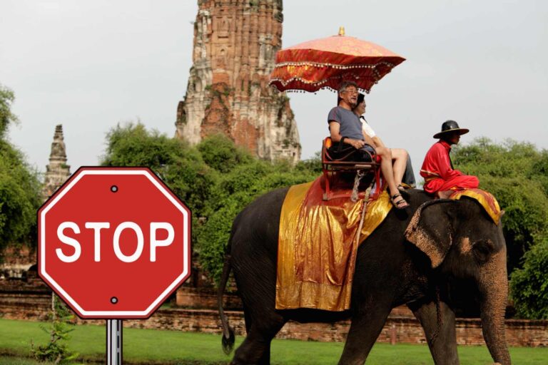 divieto tour elefanti