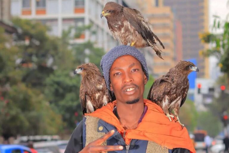 Nairobi Birdman