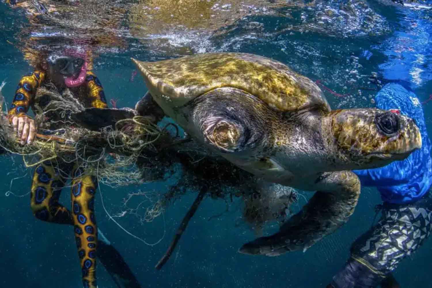 James Ferrara Antropoceen