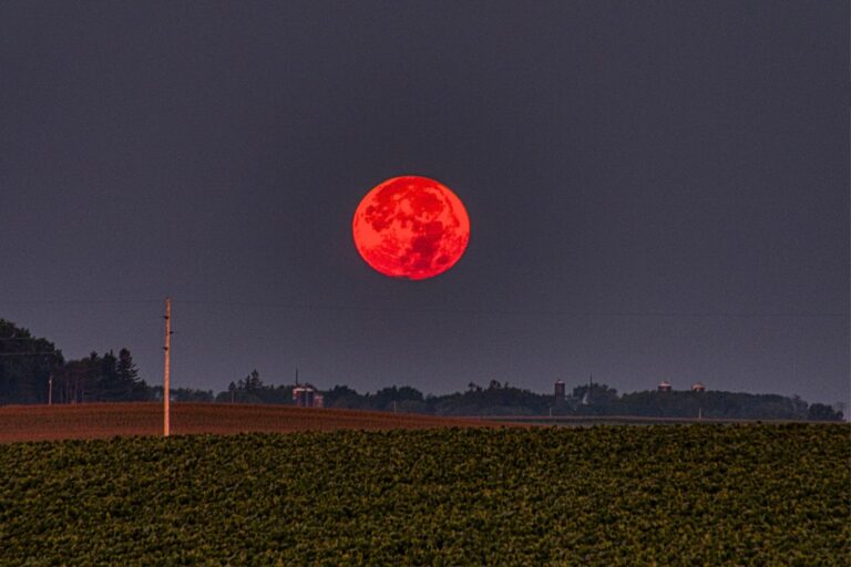 luna rossa del verme 3 marzo 2026
